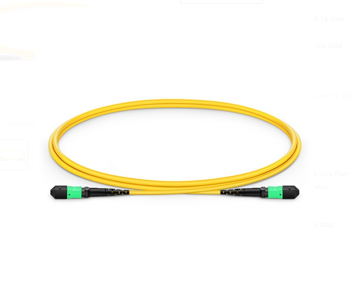 Dây nhảy quang MTP to MTP Female, OS2 Type B, 12 Fibers Elite Trunk Cable Bunch - Xmethod Network - Hàng chính hãng