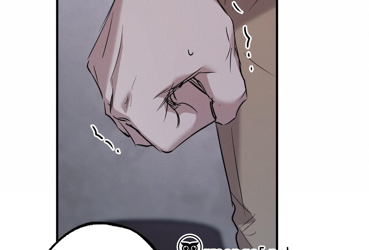 đàn thỏ của habibi chapter 59 174