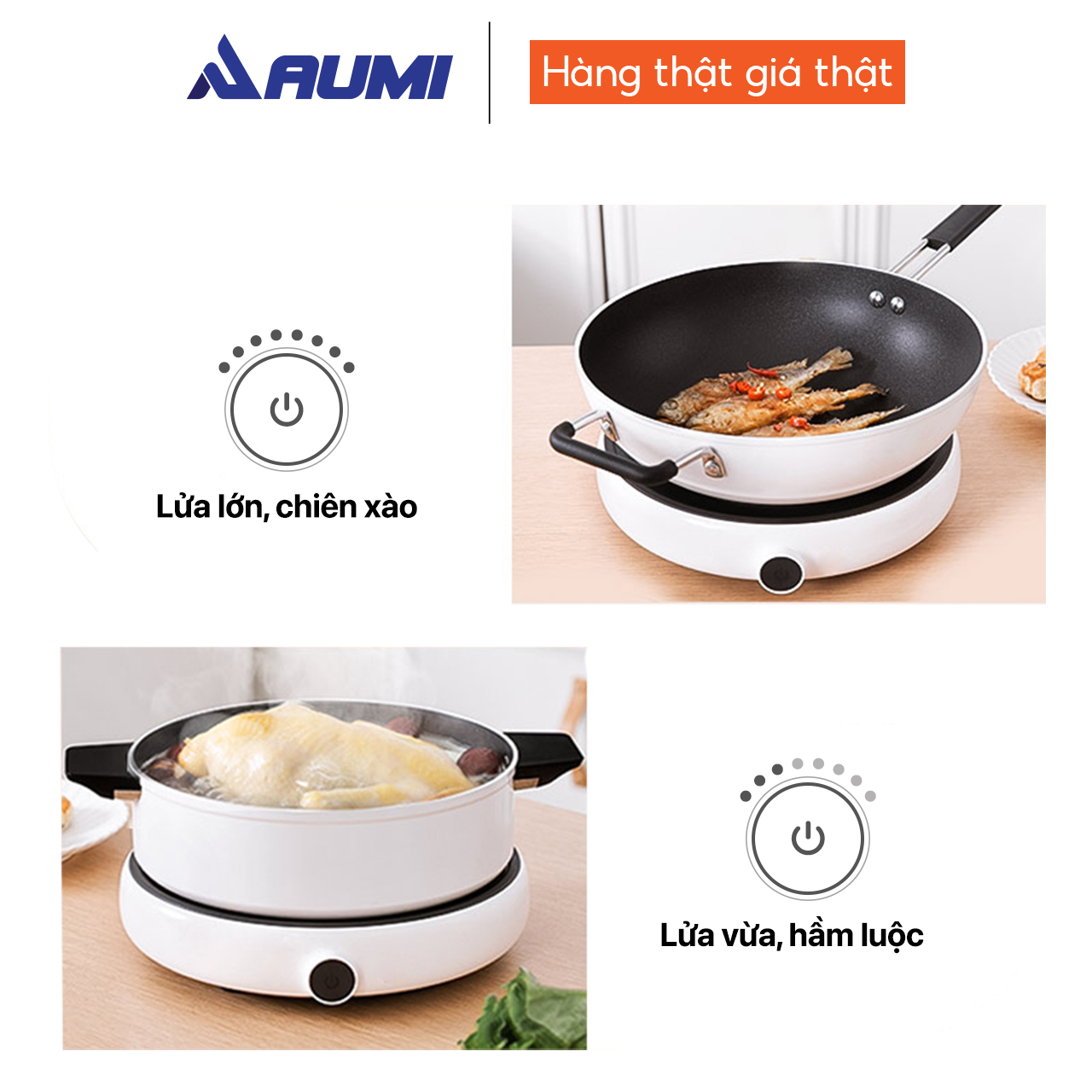 Bếp điện từ cảm ứng Zhiwuzhu ZCL010-1A
