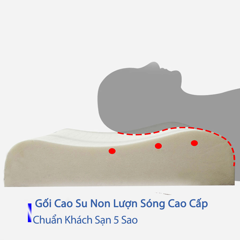 Gối Cao Su Non Người Lớn Cao Cấp Chính Hãng Chuẩn Khách Sạn 5 Sao Gối Cao Su Non Lượn Sóng Massage Cho Người Đau Vai Gáy Gối Đầu Nằm Ngủ  Kê Chống Mỏi Cổ Từ Cao Su Non Thiên Nhiên Cao Cấp Cho Người Lớn 50cmx70cm