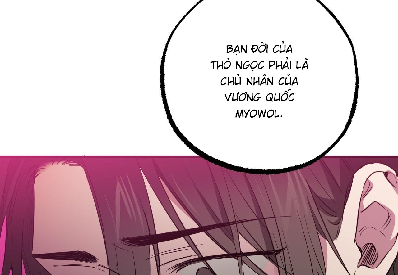 những chú thỏ của hapypy chapter 62 162