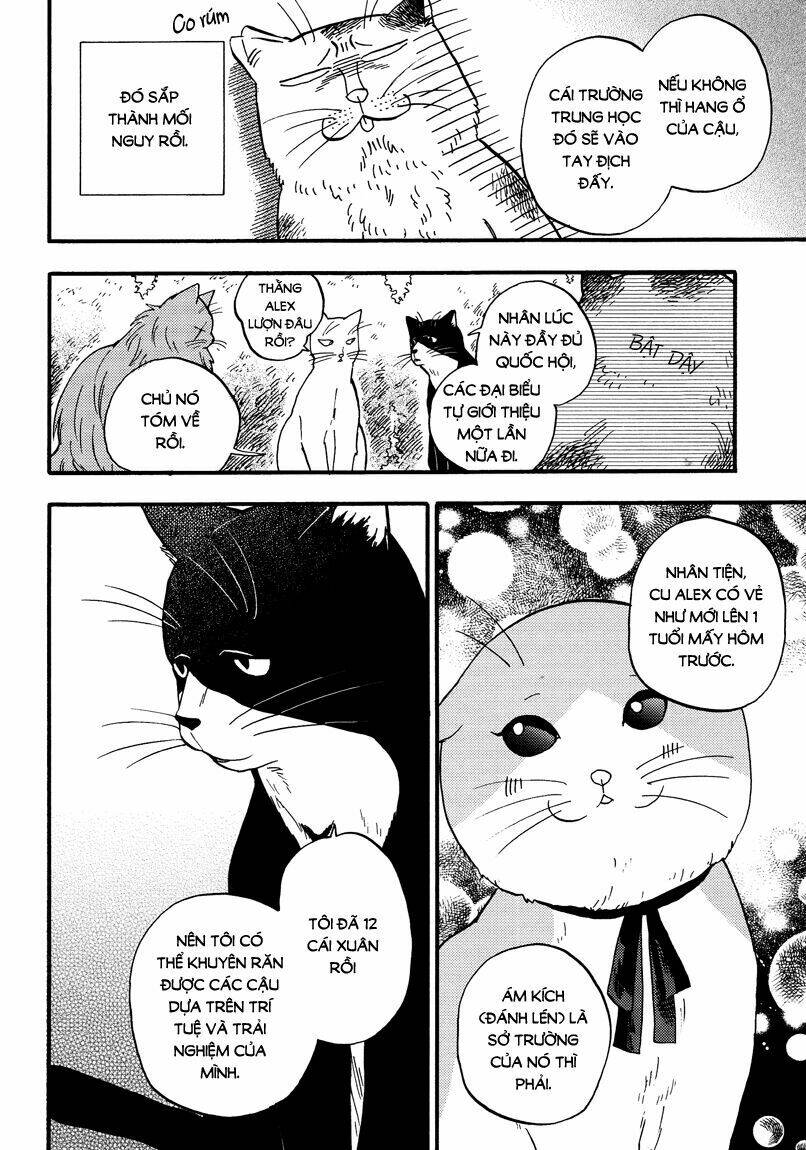 tui là busamen! chapter 6 11