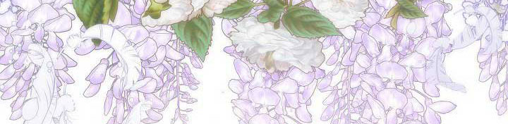 từ lúc bắt đầu tôi vẫn luôn ở bên em chapter 47.1 32