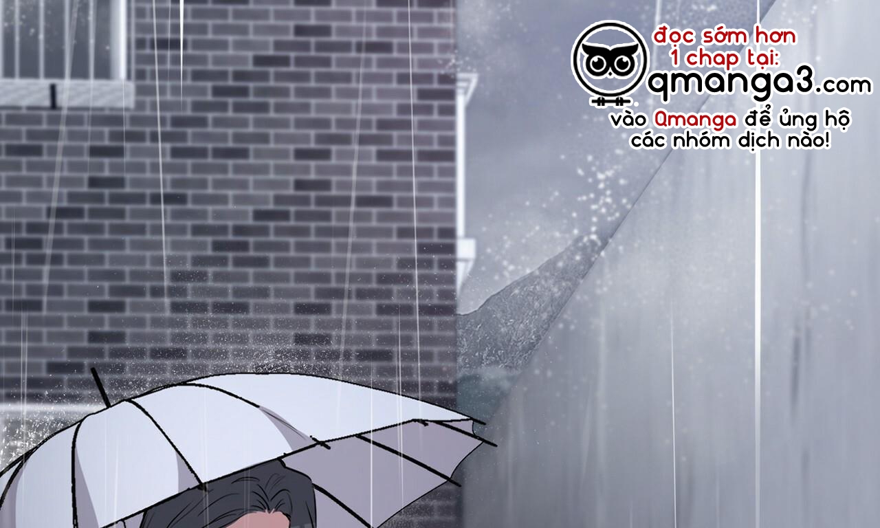 đàn thỏ của habibi chapter 35 2