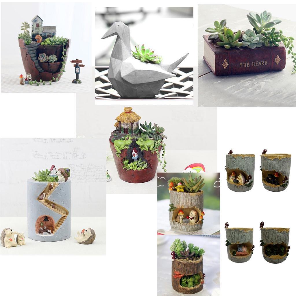 2Pc Hedgehog Flower Sedum Succulent Pot Planter Bonsai Trough Box Plant Beds