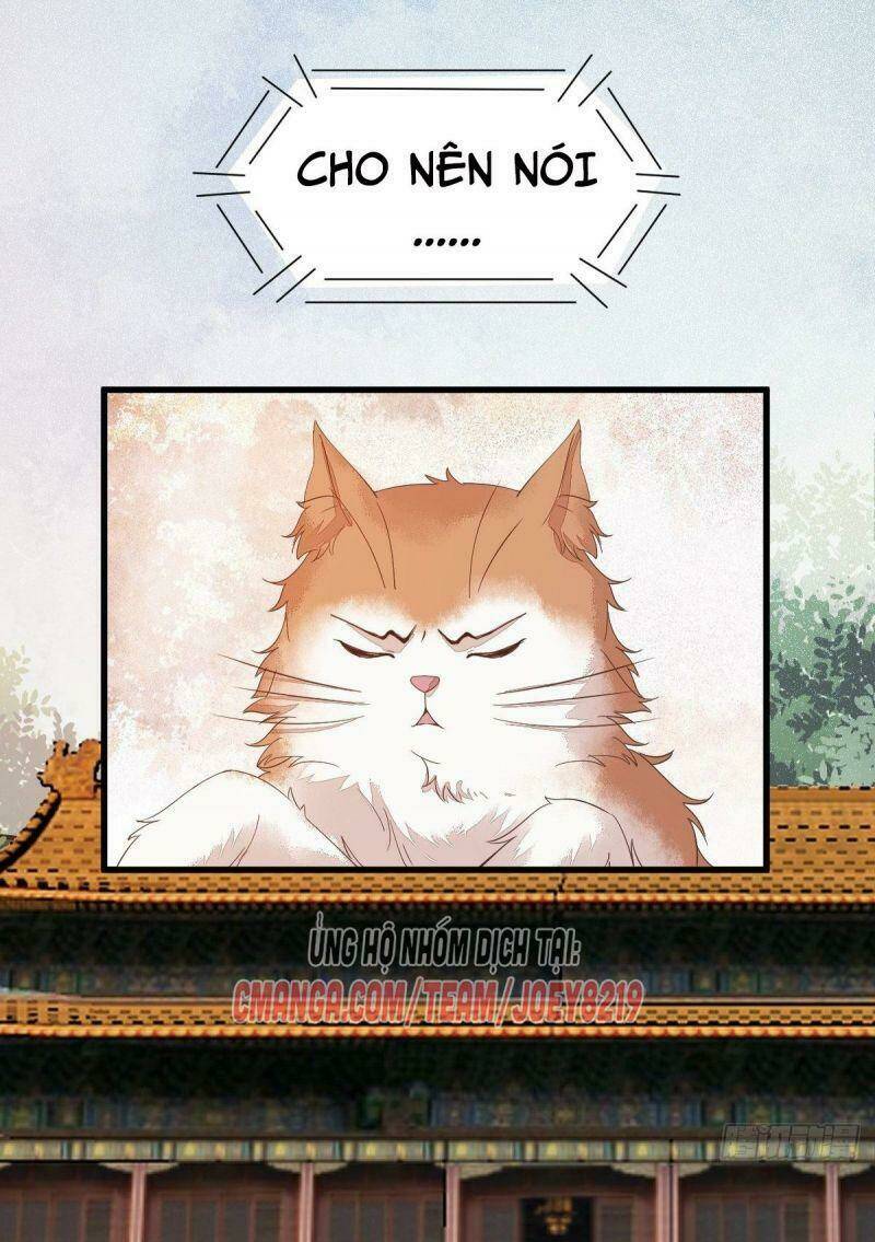 sát thủ vương phi không dễ chọc chapter 47 3