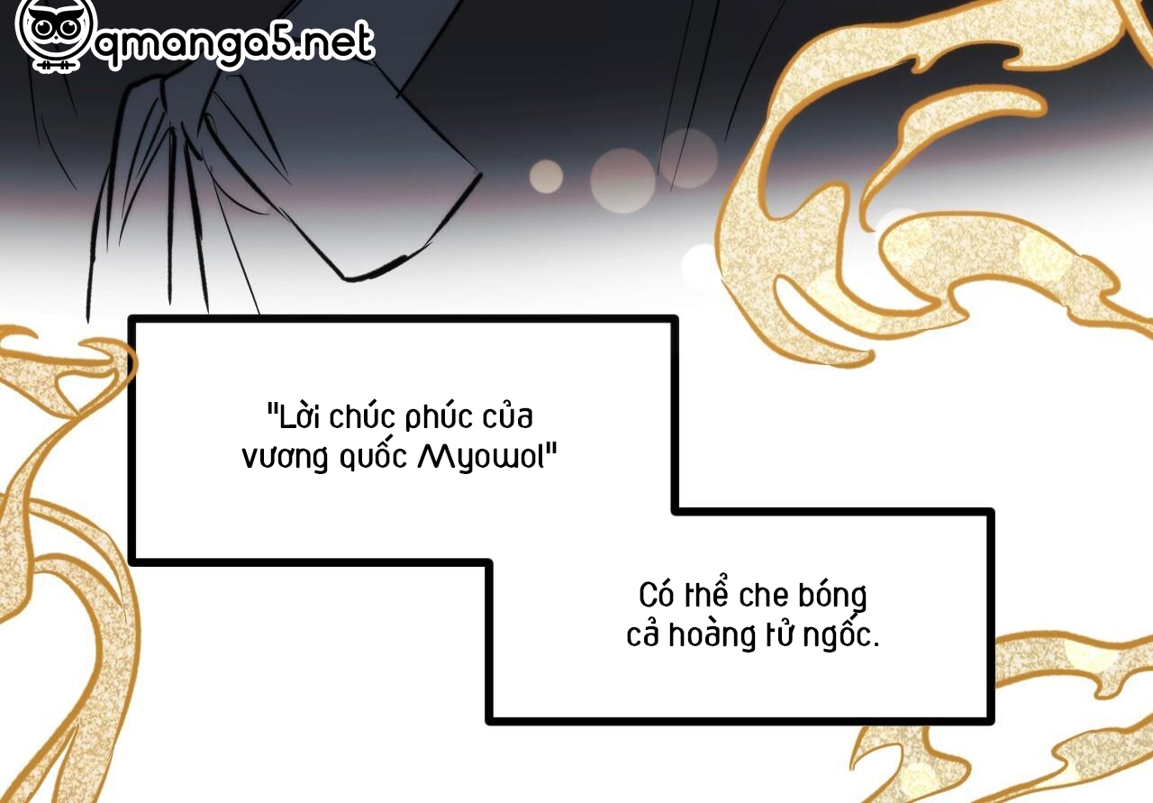 đàn thỏ của habibi chapter 59 24