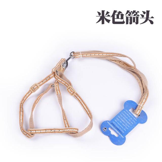 Dây dắt chó đi dạo - Xích bụng size XS