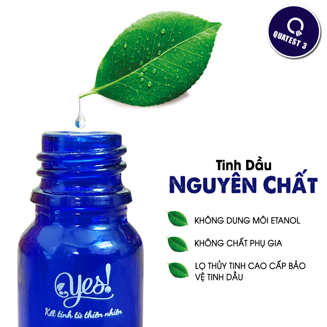 TINH DẦU HƯƠNG THẢO YES!