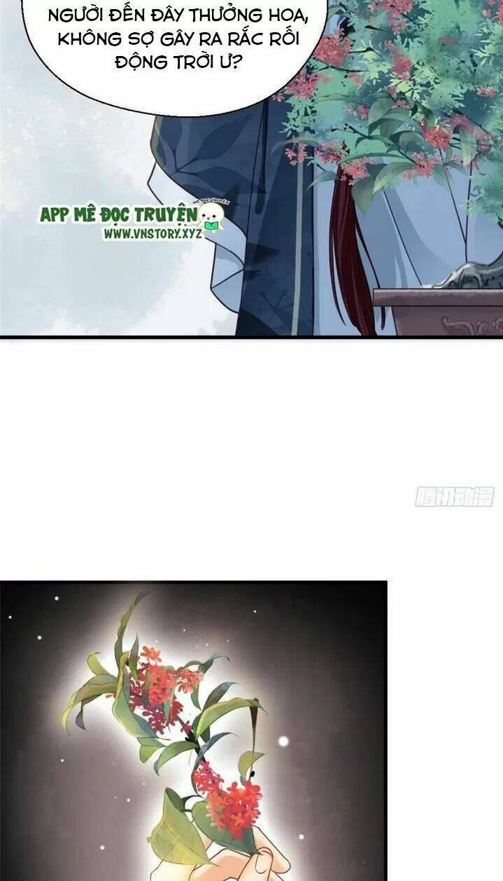 kiều nữ độc phi chapter 203 9