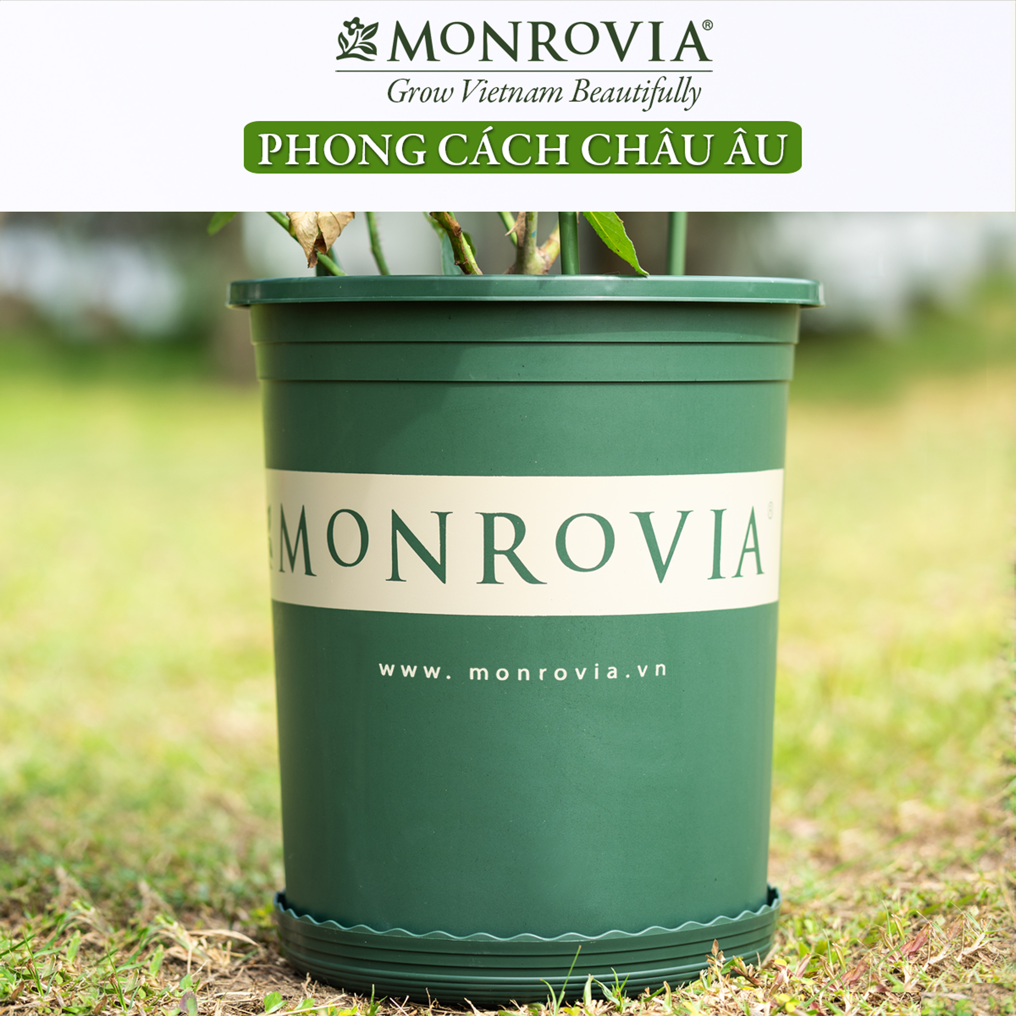 3 Chậu nhựa trồng cây MONROVIA 5 GL, chậu trồng cây, chậu cây cảnh mini, để bàn, treo ban công, treo tường, cao cấp, chính hãng thương hiệu MONROVIA