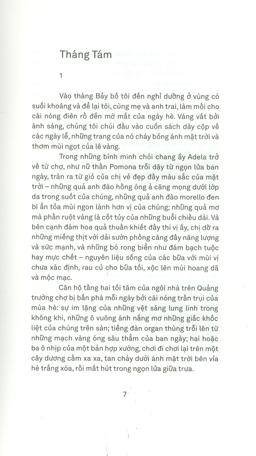 Những hiệu quế – Bruno Schulz