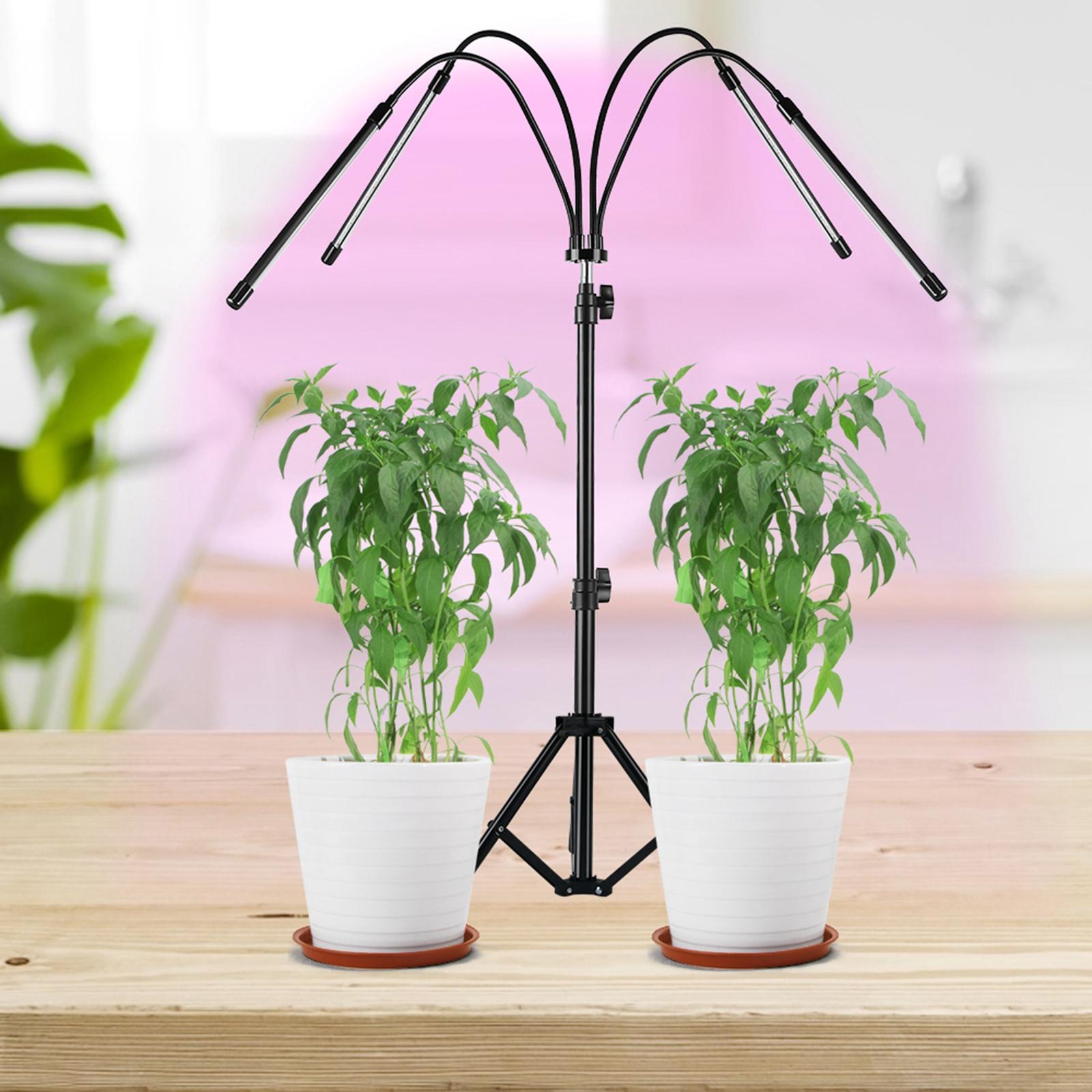 LED Grow Light Full Spectrum Lamp for Indoor Plant with Timer