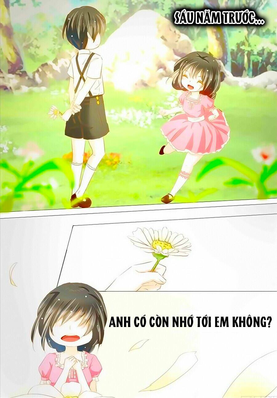 quân phiệt bá sủng: thuần tình yêu nữ hỏa lạt lạt chapter 1 9