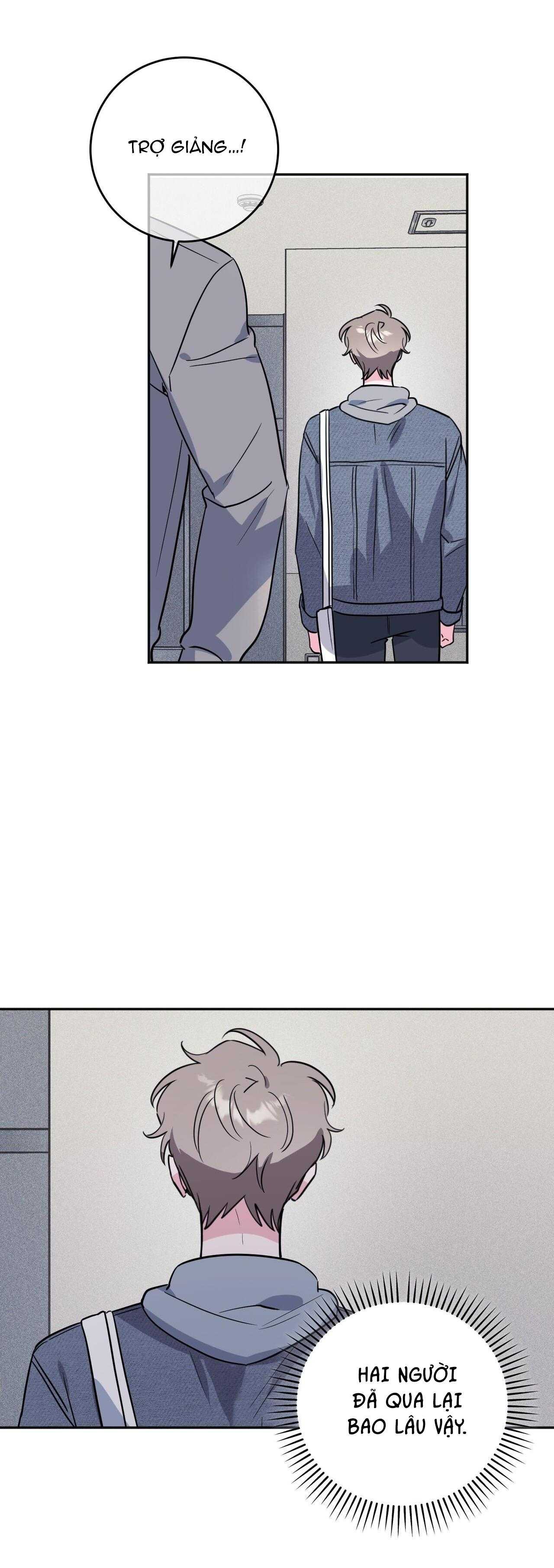 cạm bẫy đại học [m] chapter 81 12