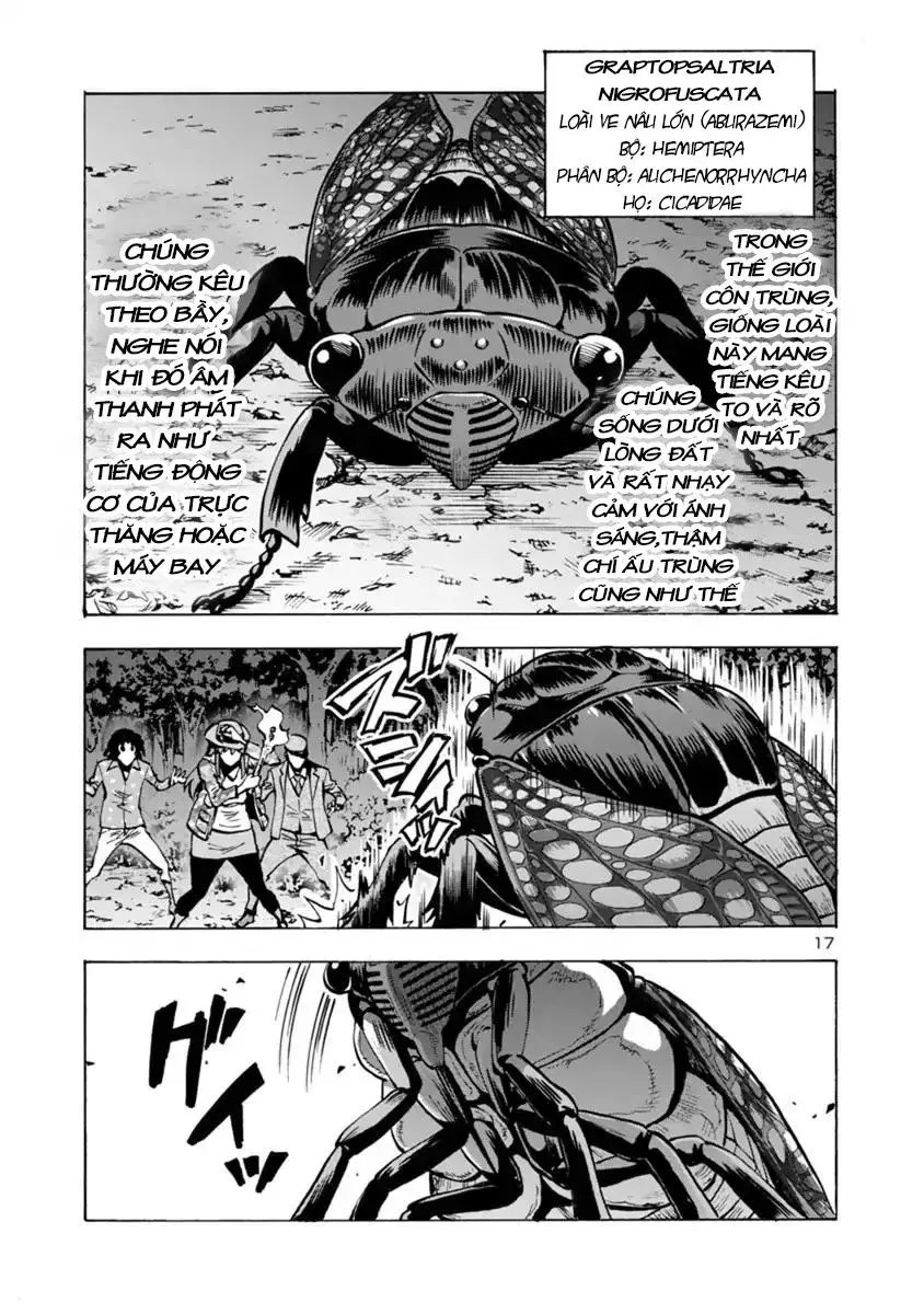 Siêu Đảo Côn Trùng chapter 7.2 17