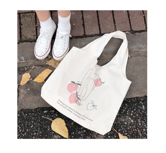 Túi tote vải đeo chéo canvas bag giá rẻ đẹp đi học TX337