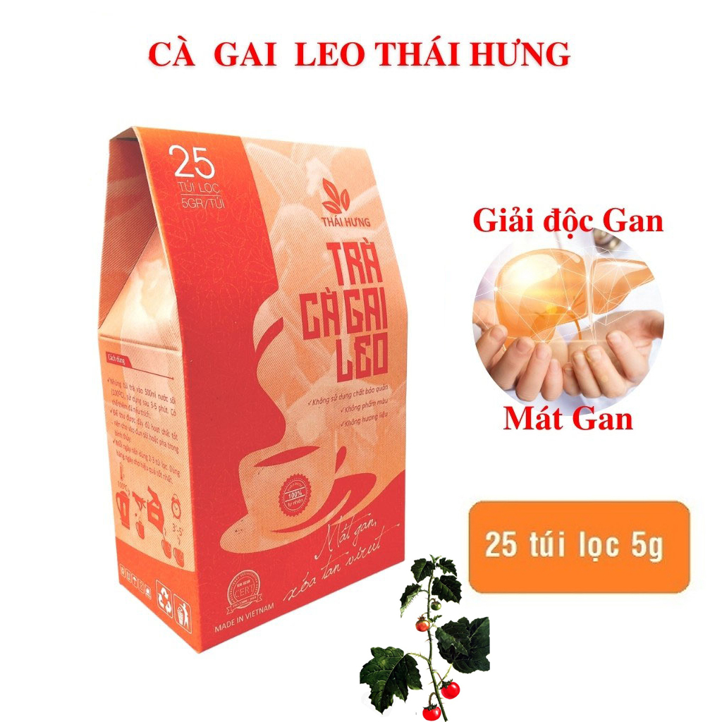 Combo 02 Hộp Trà Cà gai leo Thái Hưng 25 túi lọc x 05g - Mát gan, giải độc, giải rượu, giảm mụn nhọt