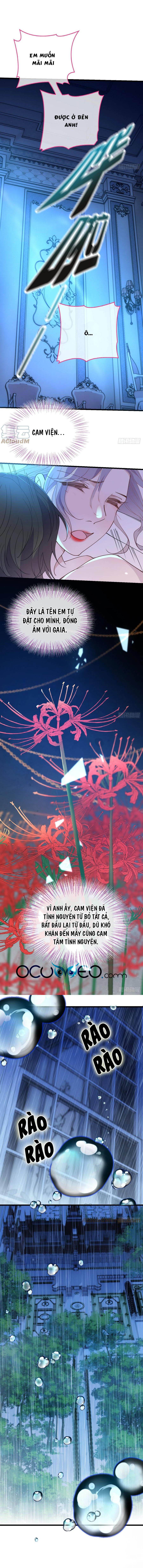 một vợ yêu, một bé con chapter 133 3