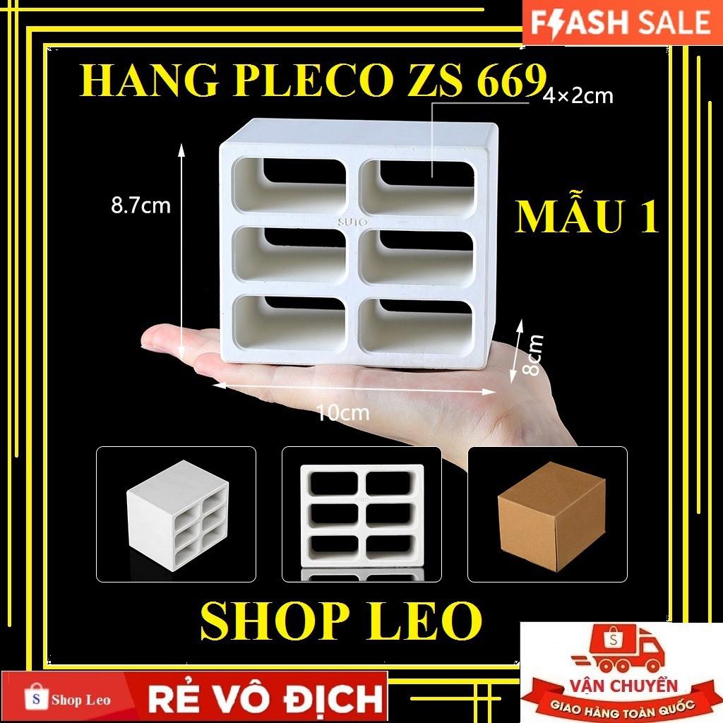 HANG PLECO SUTO HÀNG ĐẸP - HANG THỦY SINH