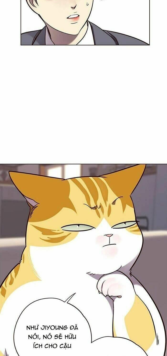 biến thân thành mèo chapter 56 50