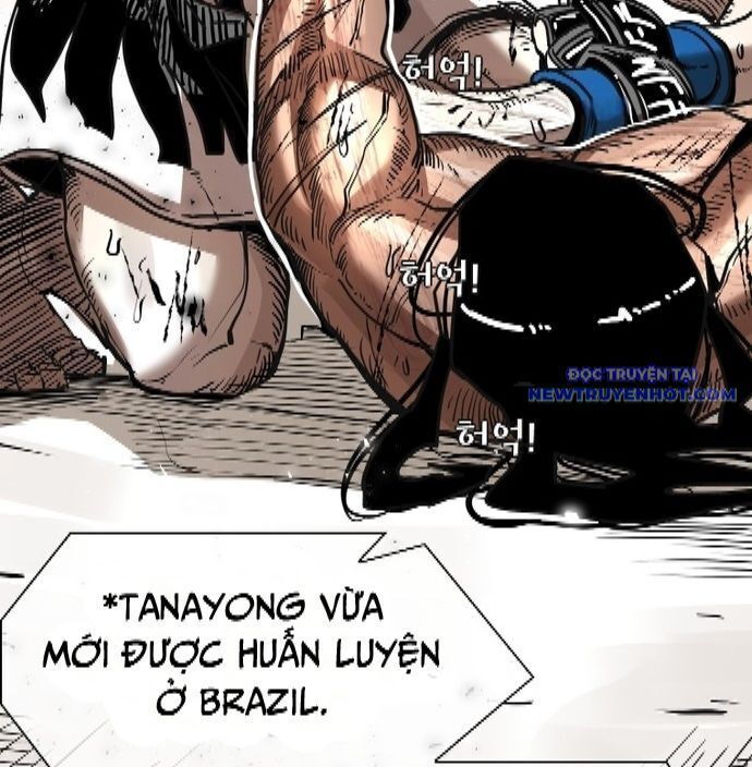 shark - cá mập chapter 340 32