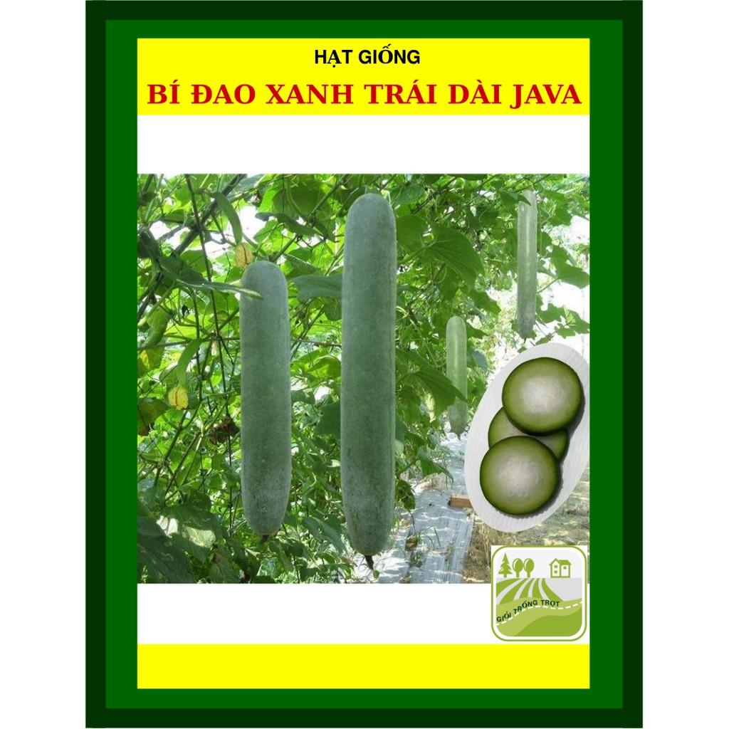 Hạt Giống Bí Đao Xanh Trái Dài F1 Java 0.2 Gram