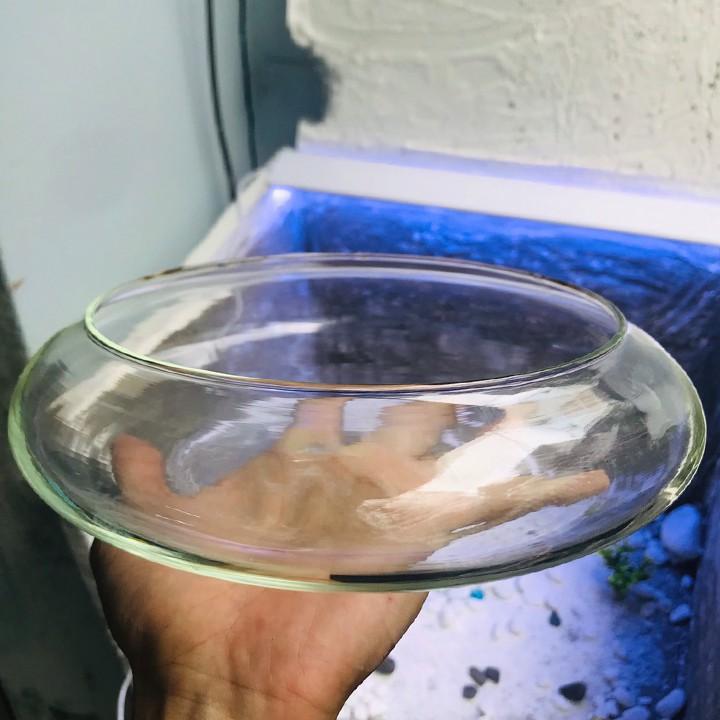 Bể cá mini, bể cá TRÒN THẤP
