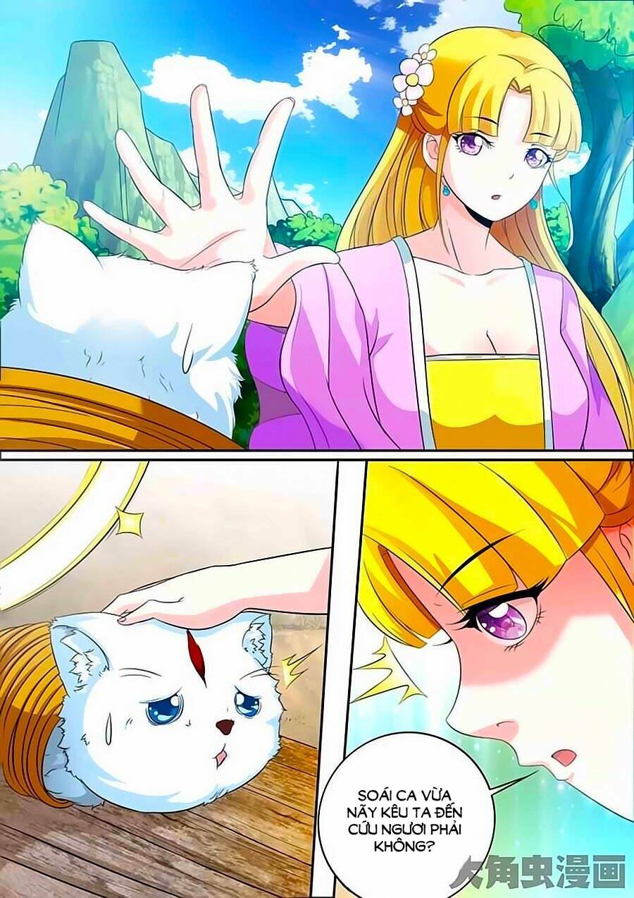 mau lấy con mèo đó ra chapter 12 5