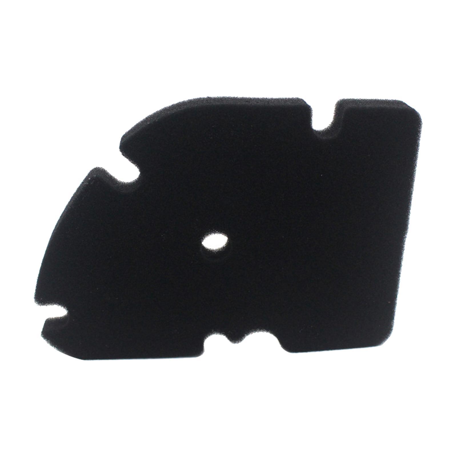 Premium Sponge   Air Filter for  GTV 250 300  250