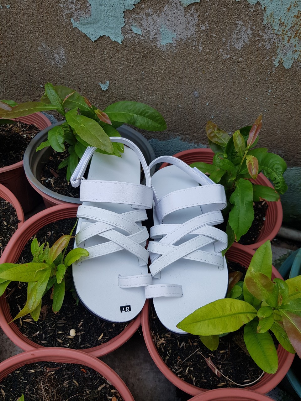 dép sandal nữ ( đế trắng quai trắng ) size từ 35 nữ đến 39 nữ size khác nhắn tin để chọn thêm