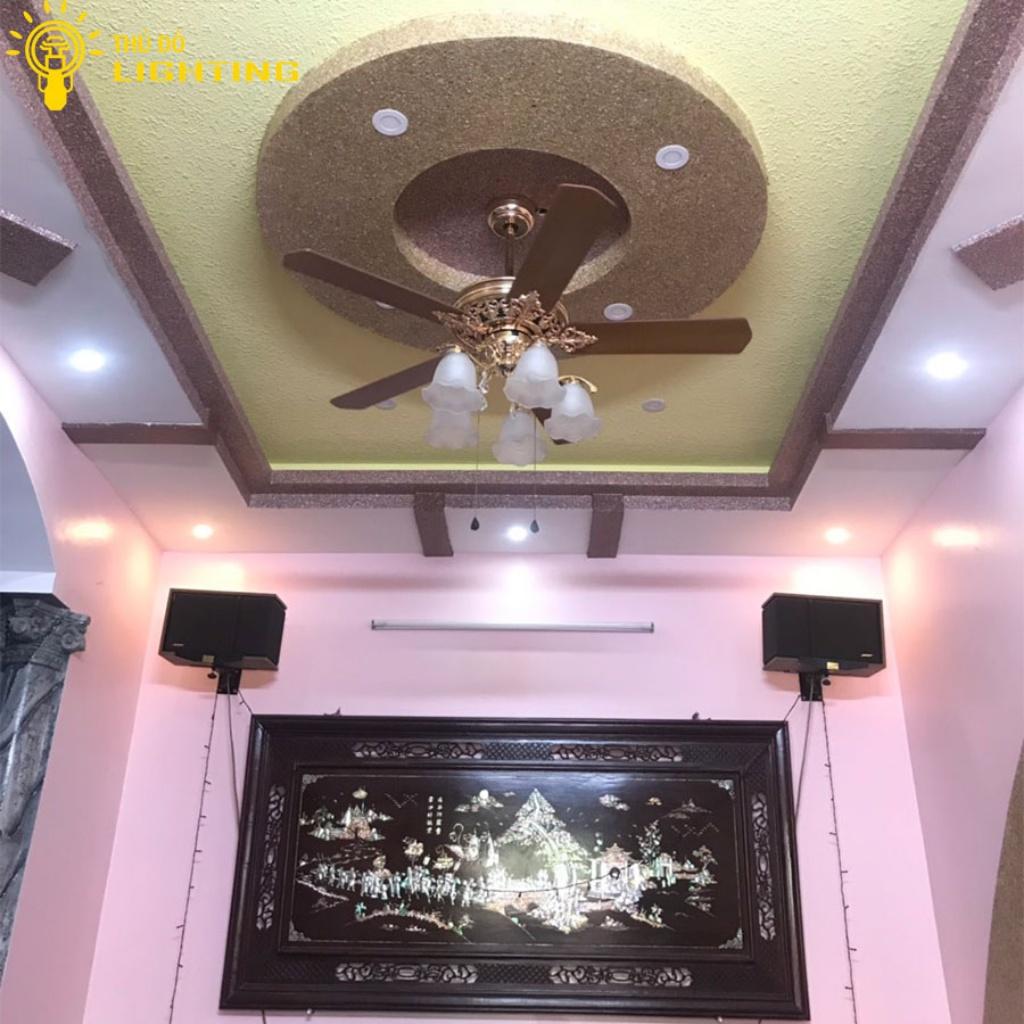 Quạt Trần Đèn 5 Cánh THỦ ĐÔ LIGHTING Hoa Lan Chuông Chất Liệu Hợp Kim, Thủy Tinh Có Điều Khiên Từ Xa 52ZSM-516