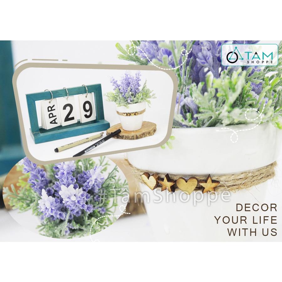 Chậu hoa lavender giả đề bàn tim sao gỗ CHDB-103