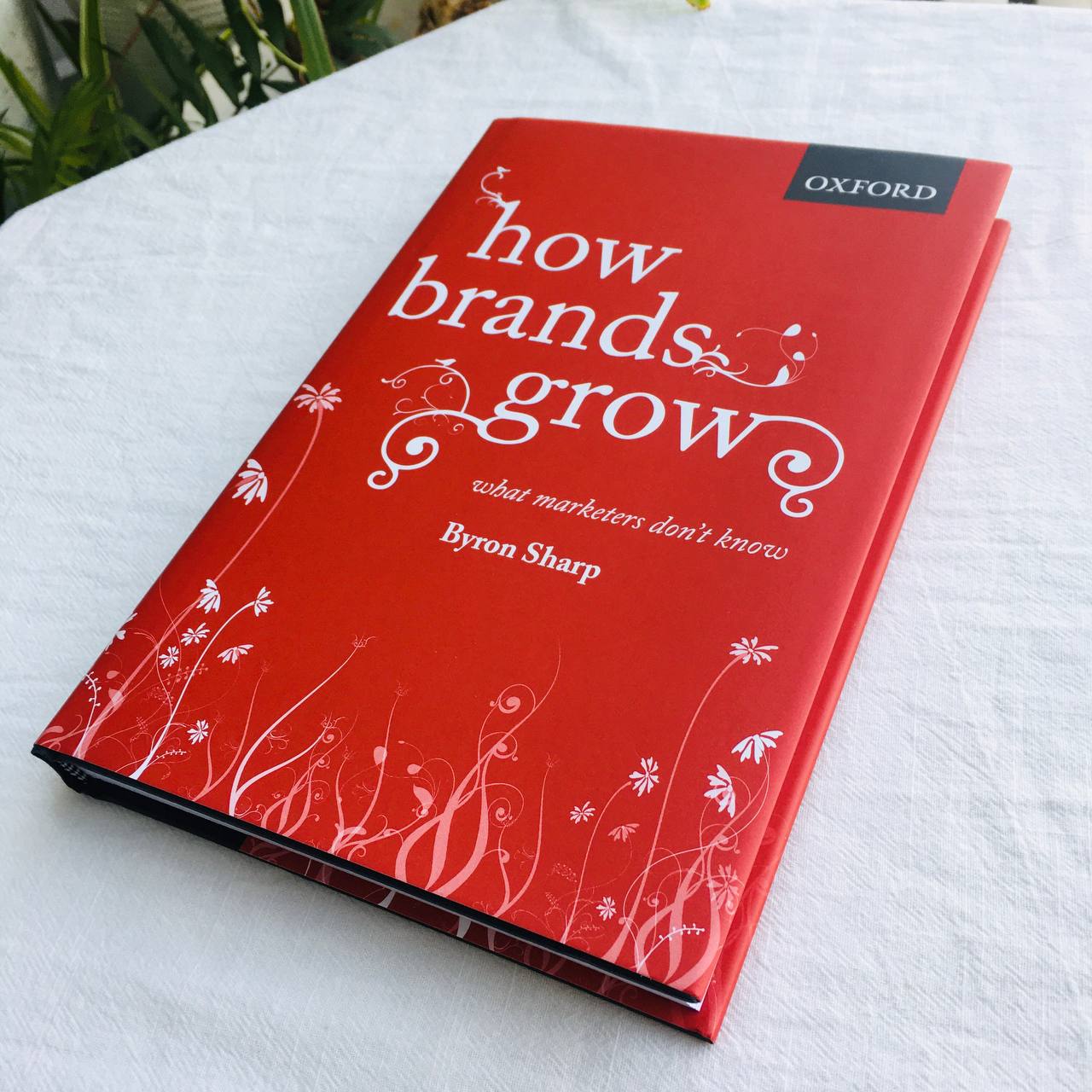How Brands Grow : What Marketers Don't Know 