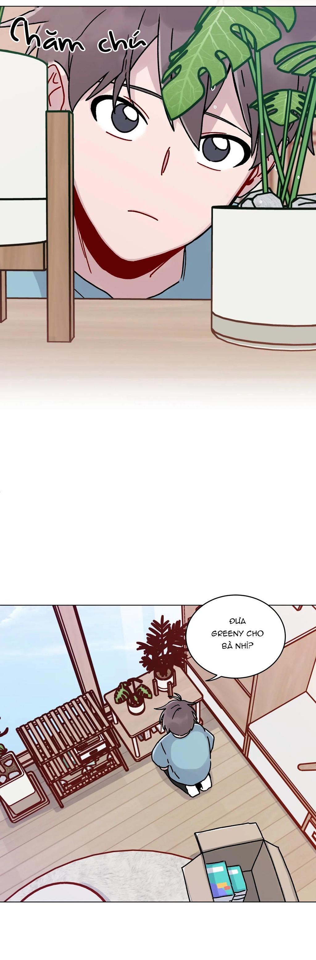 cơn mưa rào mùa hạ chapter 2 17