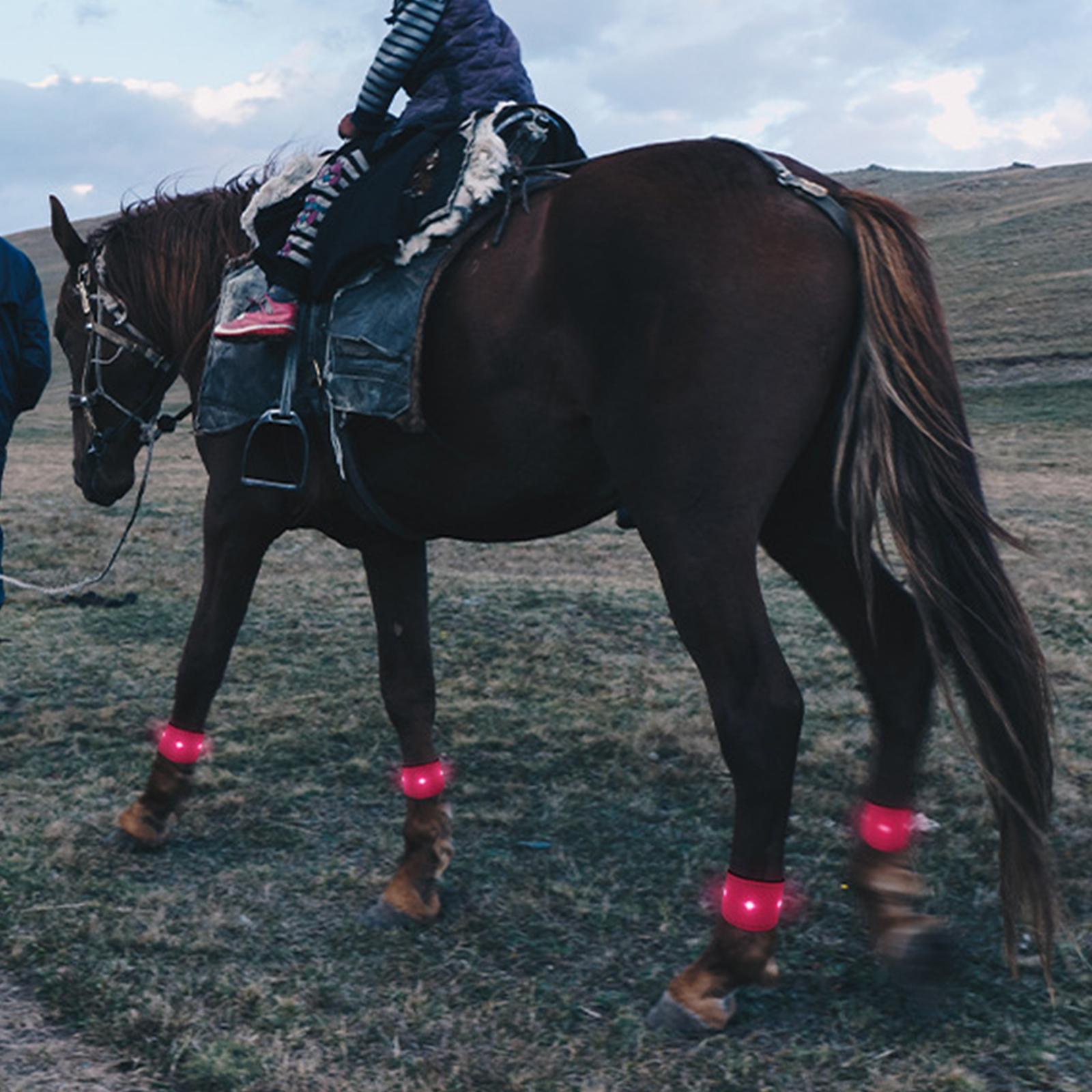 LED Horse Ankle Strap Leg Protection Belt for Running Outdoor Horse Riding