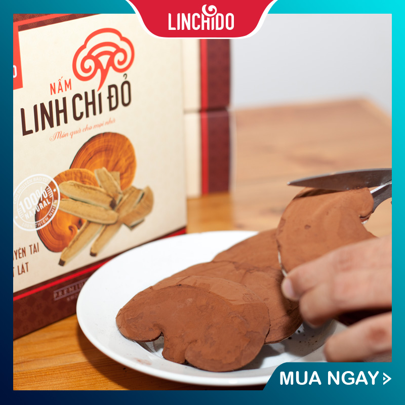 COMBO 2 HỘP NẤM LINH CHI NGUYÊN TAI 250 GRAM