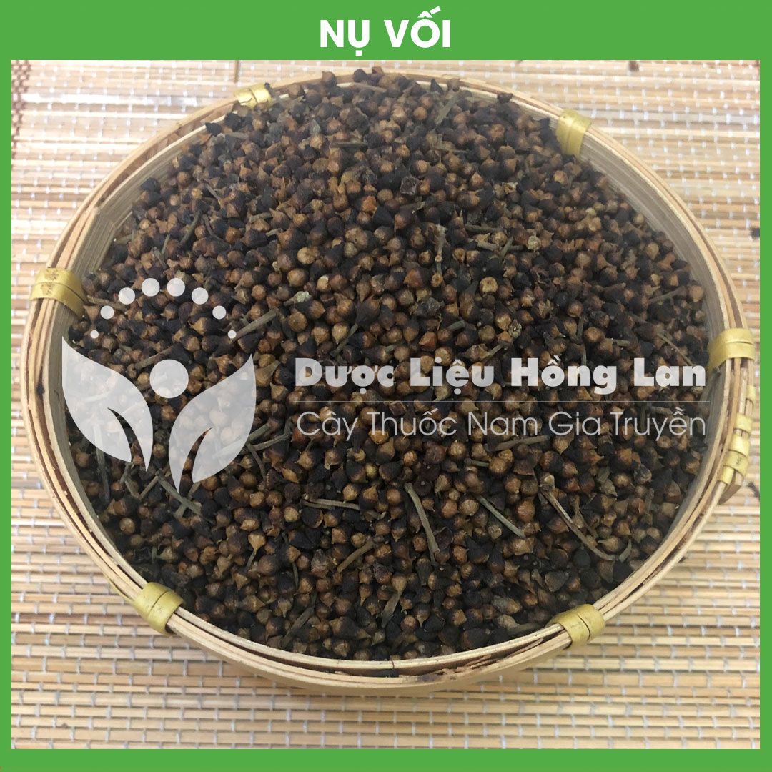 500g Nụ Vối (Hoa Vối) khô sạch loại 1