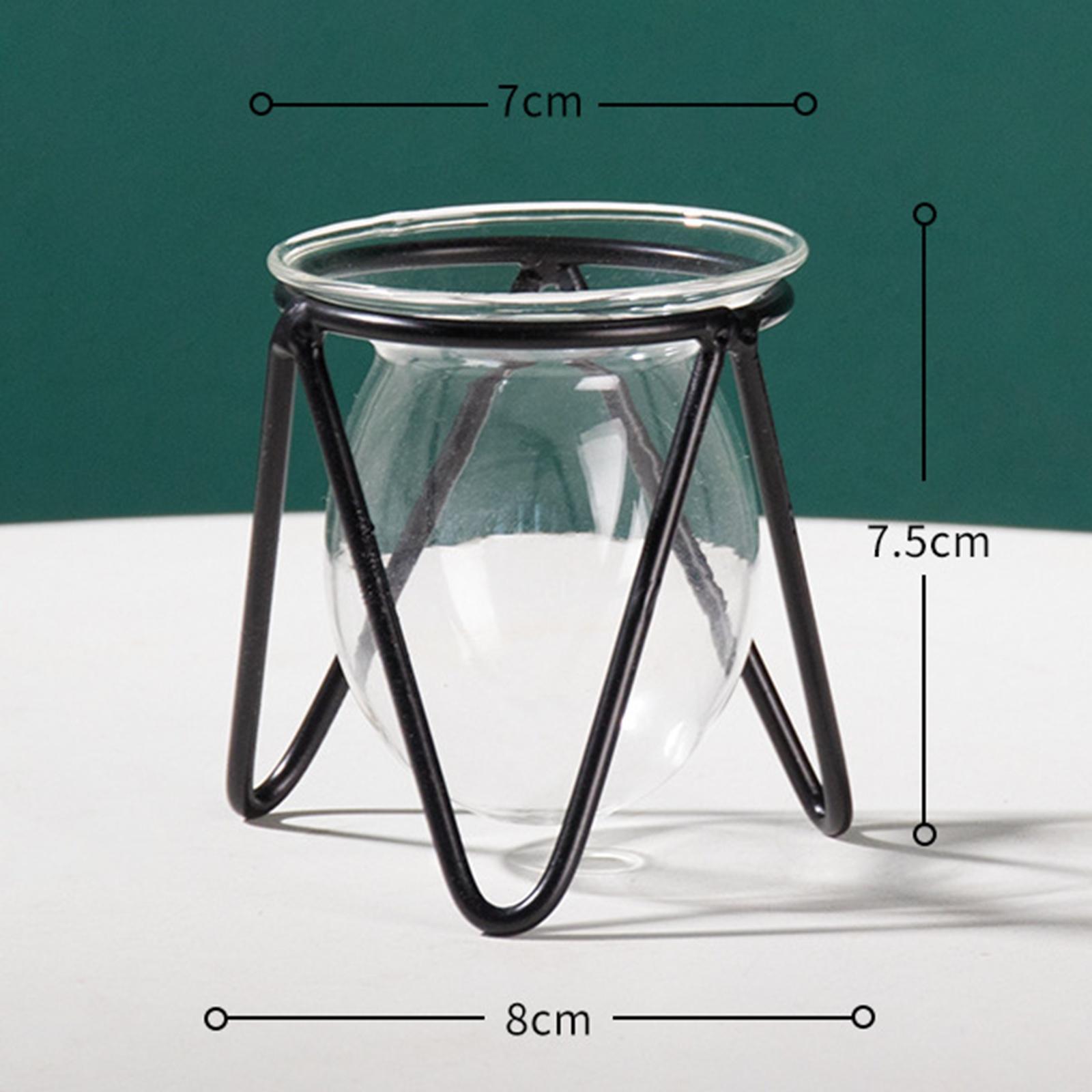 Plant Iron Line Flower Vase  Ornament Home Art Desktop