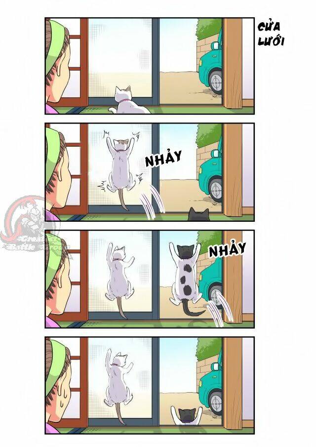 cat is silver vine chapter 18 3