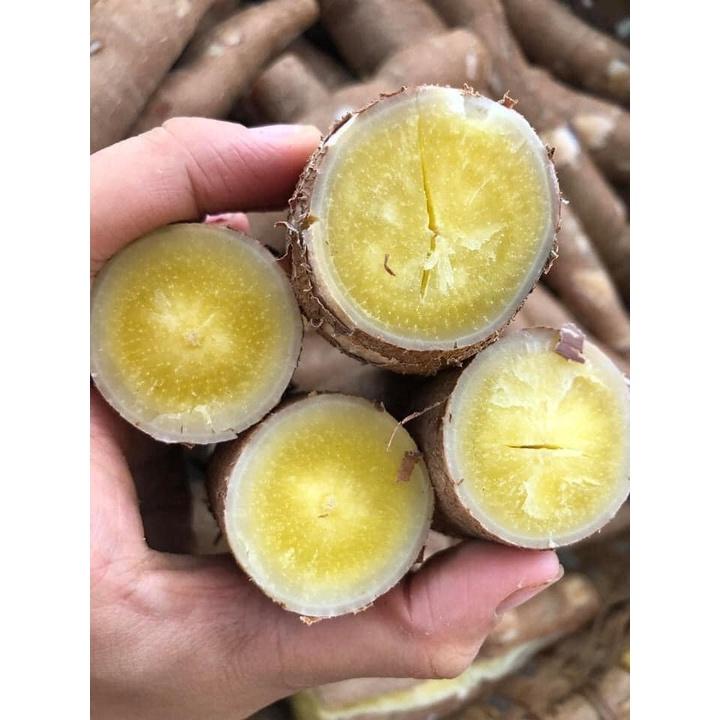 6 KG CỦ tươi KHOAI MÌ RUỘT VÀNG DẺO