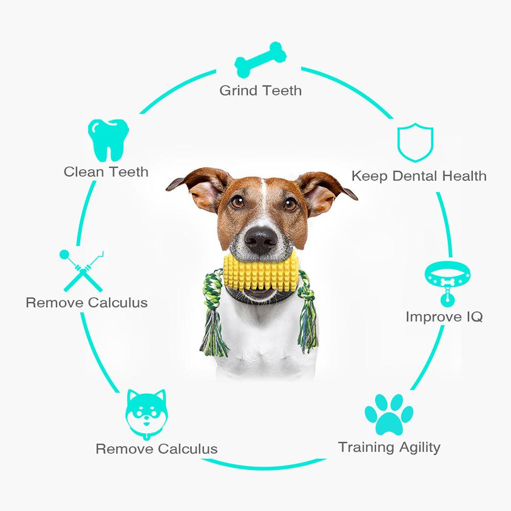 Đồ chơi tương tác cho chó gặm làm sạch răng hình bắp ngô