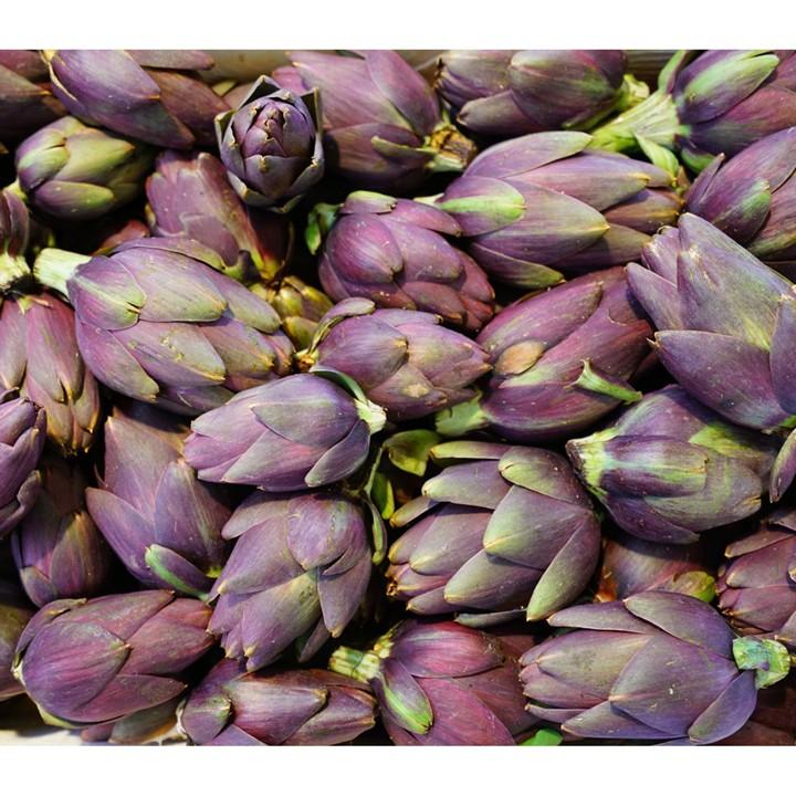 Hạt Giống Atiso Đà Lạt - 1Gr