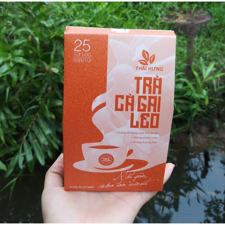 Combo 03 Hộp Trà Cà gai leo Thái Hưng 25 túi lọc x 05g (125g) - Mát gan, giải độc, giải rượu, giảm mụn nhọt