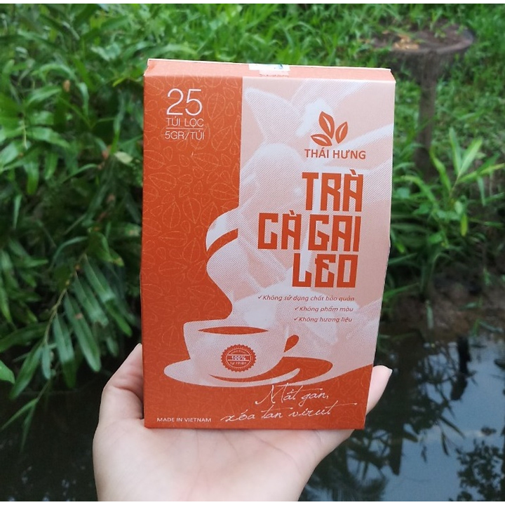 Combo 02 Hộp Trà Cà gai leo Thái Hưng 25 túi lọc x 05g - Mát gan, giải độc, giải rượu, giảm mụn nhọt