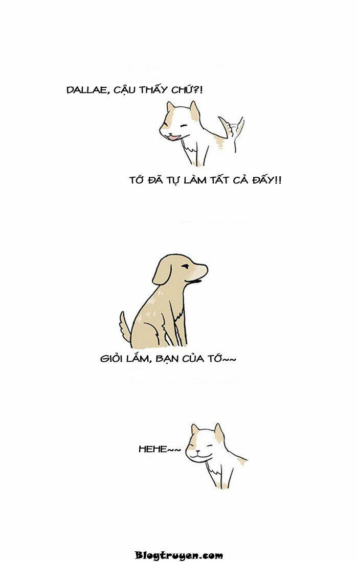 my kitty and old dog chapter 12 8