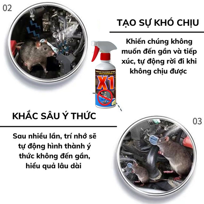 Chai Dung Dịch Xịt Đuổi Chuột Châu Âu X1 - CARE 500ml Dùng Xe Ôtô, Trong Nhà Chiết Xuất Tự Nhiên An Toàn Cho Người Dùng