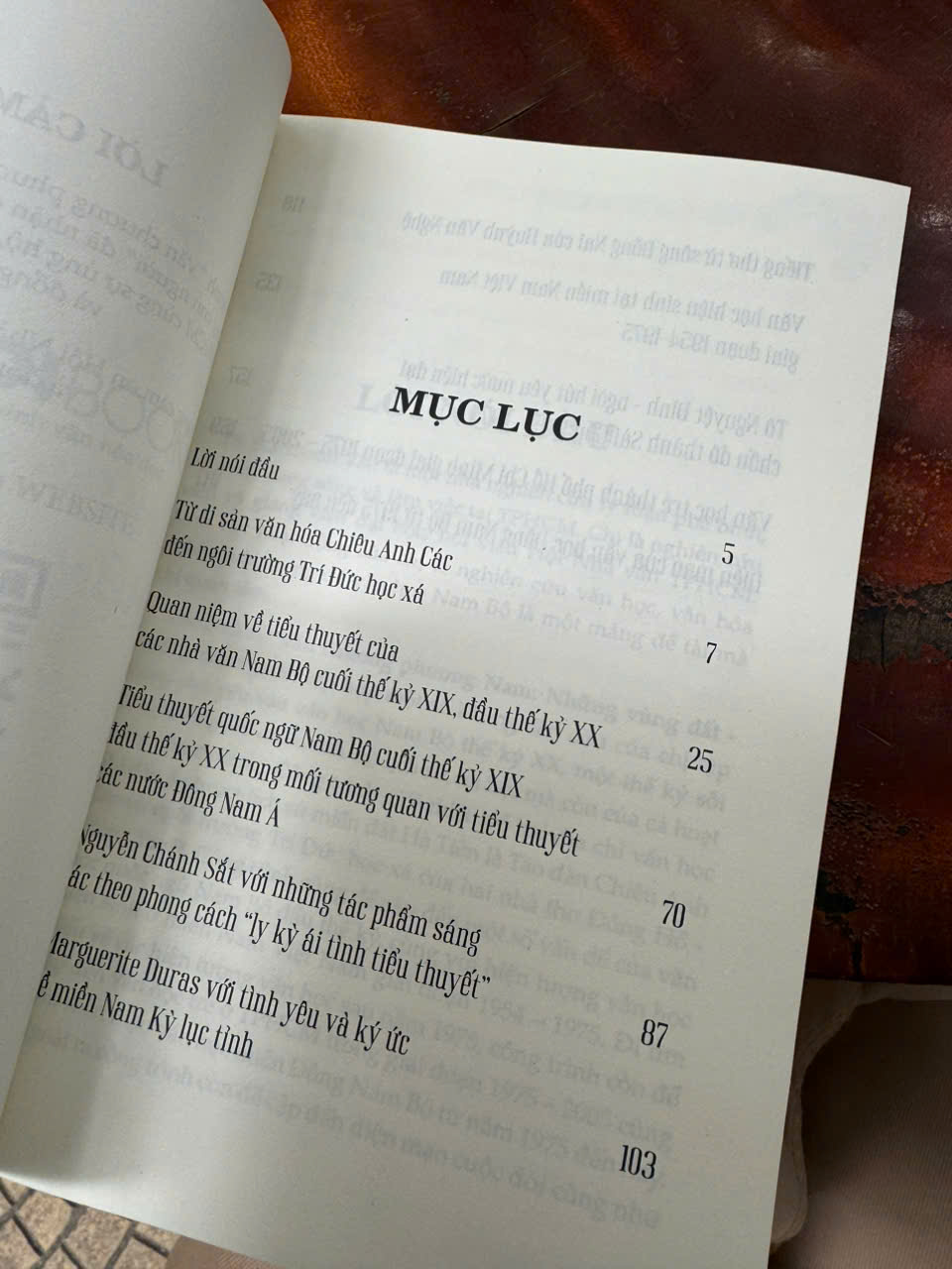 VĂN CHƯƠNG PHƯƠNG NAM: NHỮNG VÙNG ĐẤT – NHỮNG CON NGƯỜI - Hà Thanh Vân – Hanoi Books`````