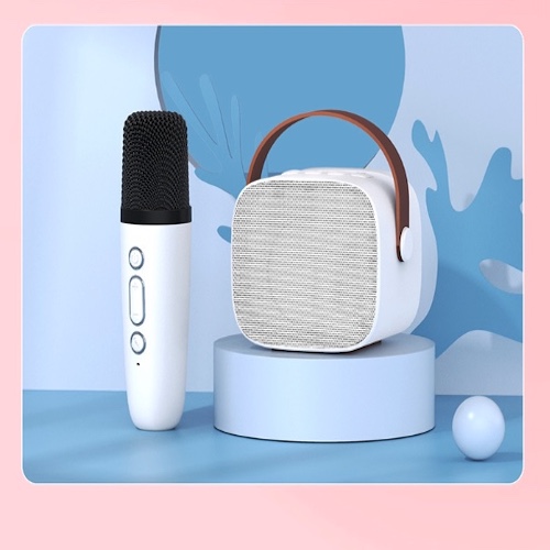 Bộ Micro loa bluetooth Karaoke Mini Ngoài Trời KTV Cardioid