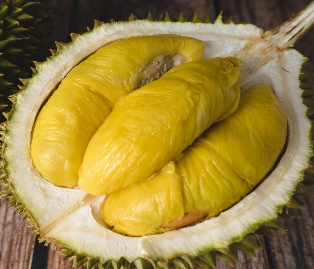 Giống Sầu Riêng Musangking Giống Chuẩn